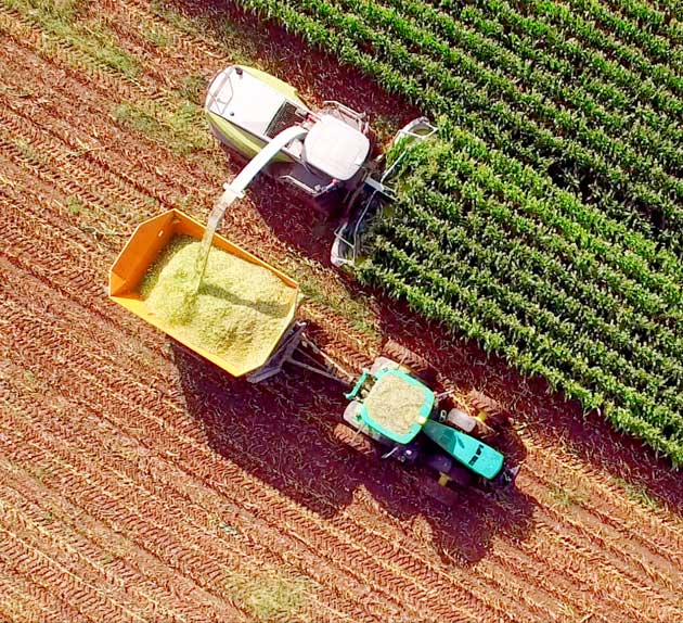 Seguro de Agronegocio