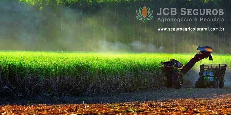 Seguro Agricola Rural Canavial
