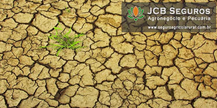 Seguro Agricola Rural Contra Seca