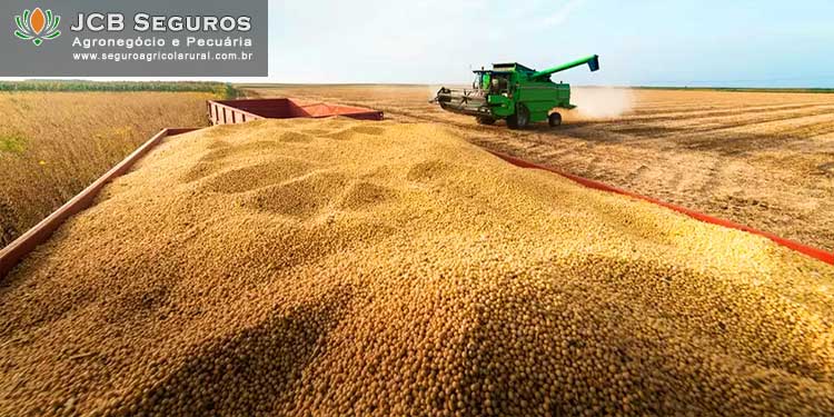 Seguro Agrícola Rural Safra Soja