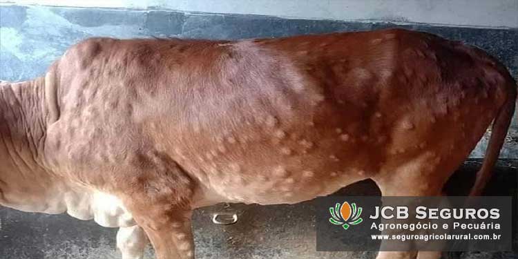 Seguro Contra Doencas em Animais