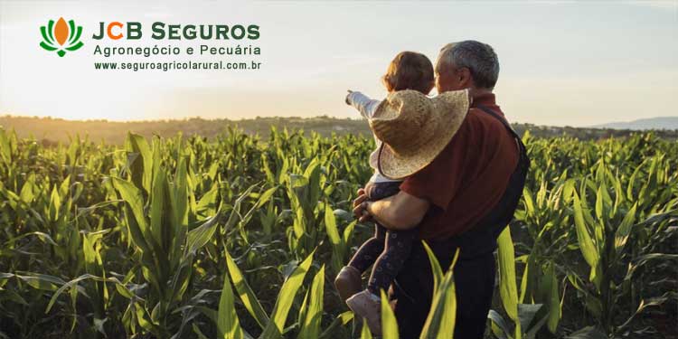 Seguro para Fazenda