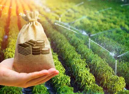 Seguro de Agronegocio