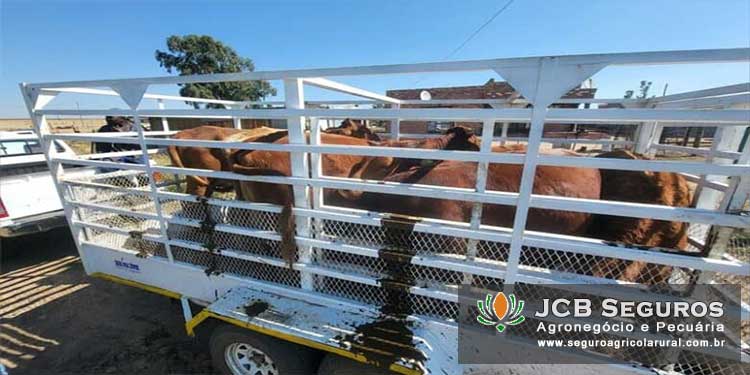 Seguro para Roubo de Gado