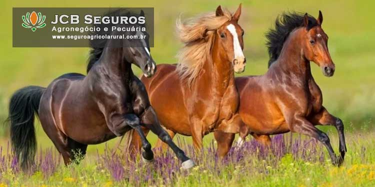 Seguro Pecuario para Equinos