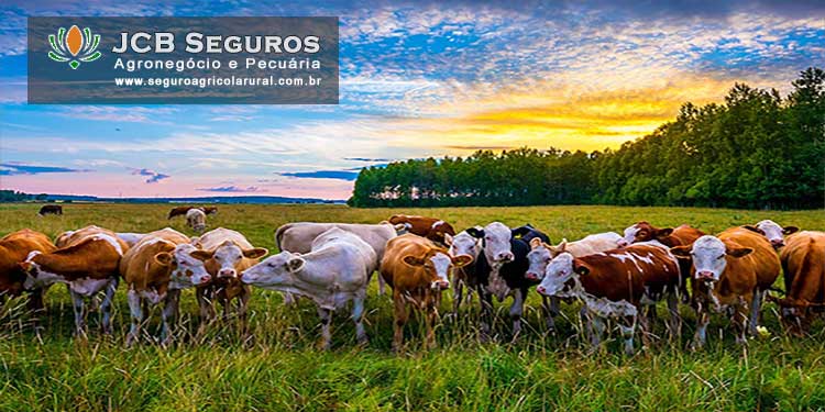 Seguro Pecuario para Rebanho